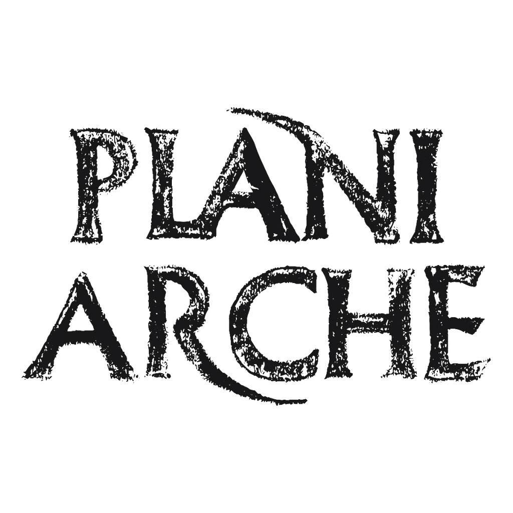 PLANI ARCHE