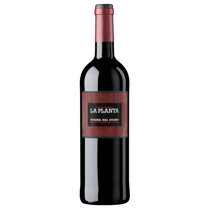 BODEGAS ARZUAGA Rossi 75 cl / 2022 La Planta Ribera del Duero DO