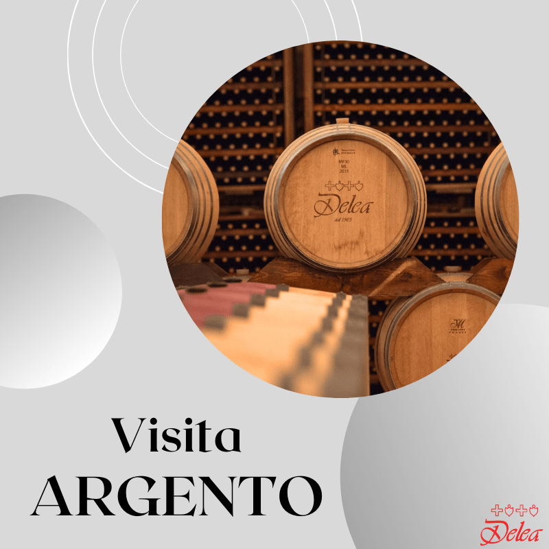 EVENTS DELEA Visita Cantina 6 VISITA+DEGUSTAZIONE ARGENTO